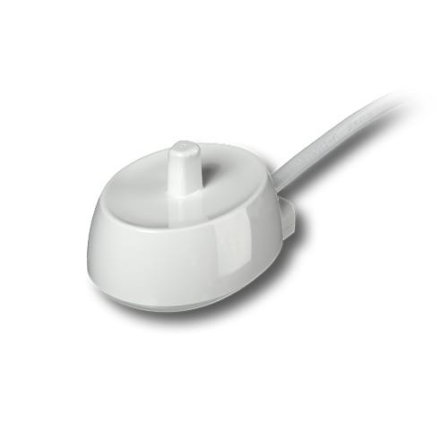 Braun 81477283